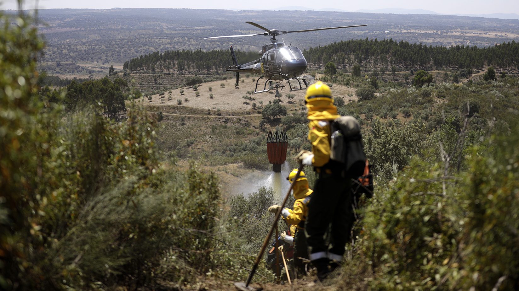 Apague o fogo com um balde de água. incêndios florestais no verão. plano