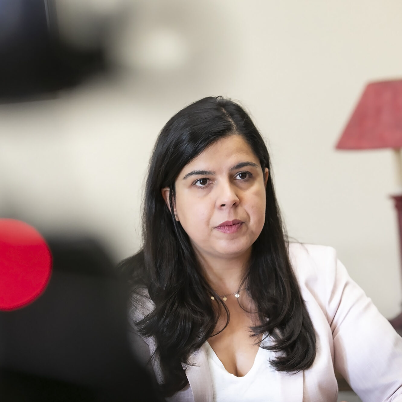 Inês Sousa Real, líder parlamentar do PAN, em entrevista ao ECO - 28SET20