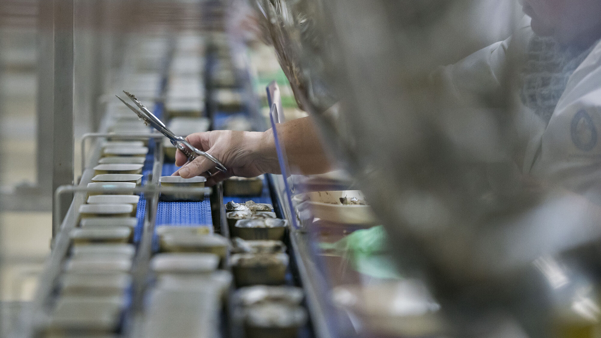 Reportagem na fábrica de conservas Pinhais em Matosinhos - 21OUT20
