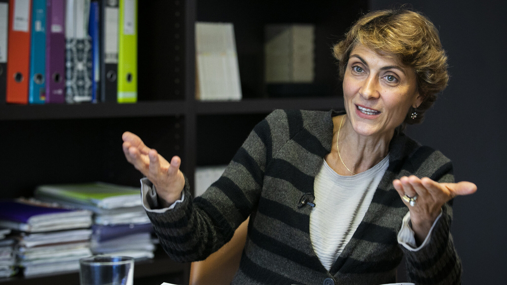 Nazaré Costa Cabral, presidente do Conselho de Finanças Públicas, em entrevista ao ECO - 27NOV20