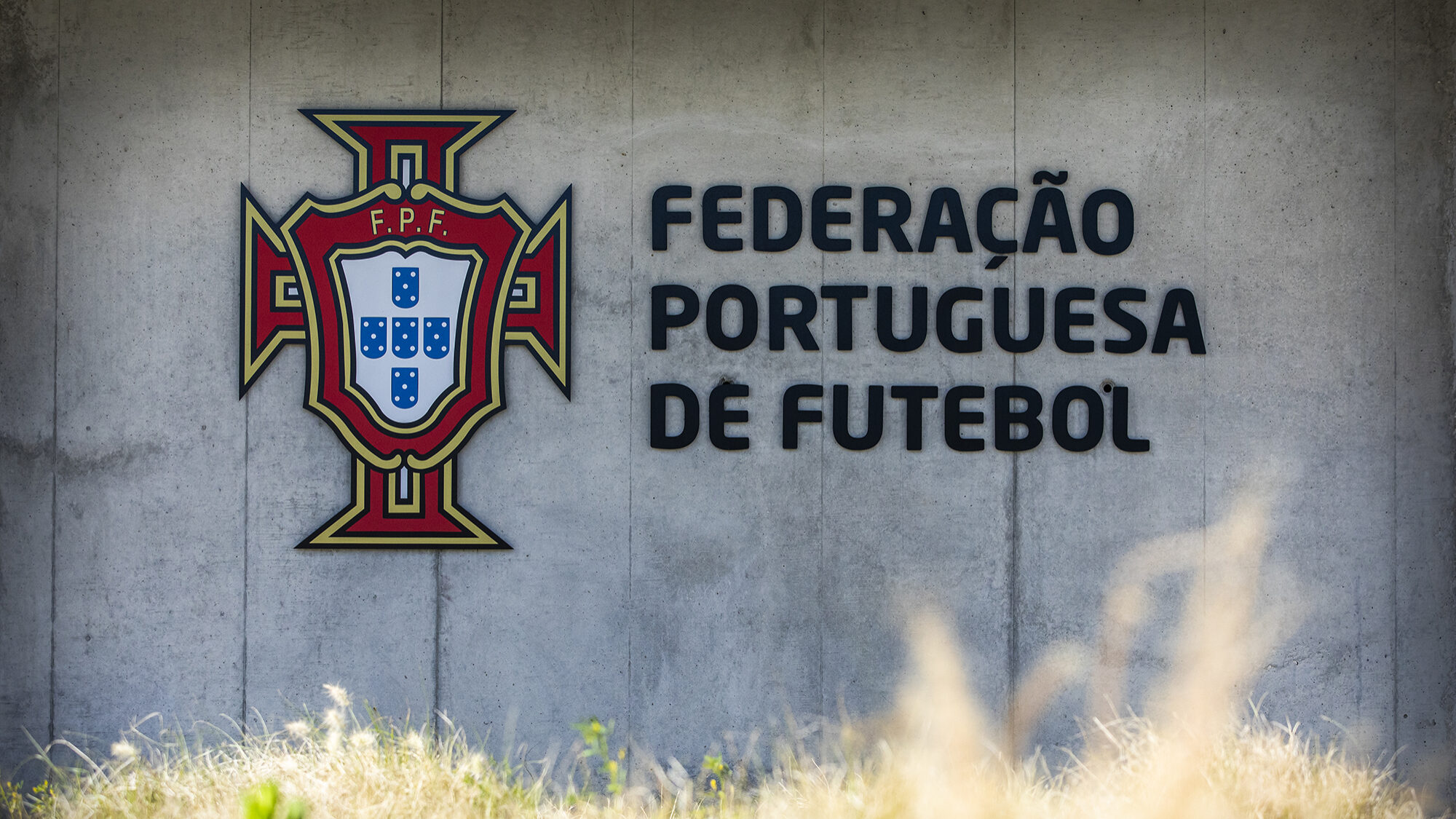 Liga Portugal 2023/2024 - RTP Internacional - Desporto - RTP