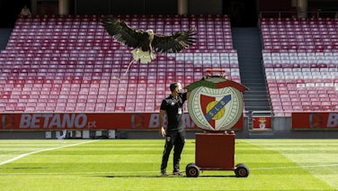 Sorteio da Champions: FC Porto com boas perspetivas, Sporting num dos  grupos mais equilibrados e Benfica com dois tubarões - Liga dos Campeões -  Jornal Record