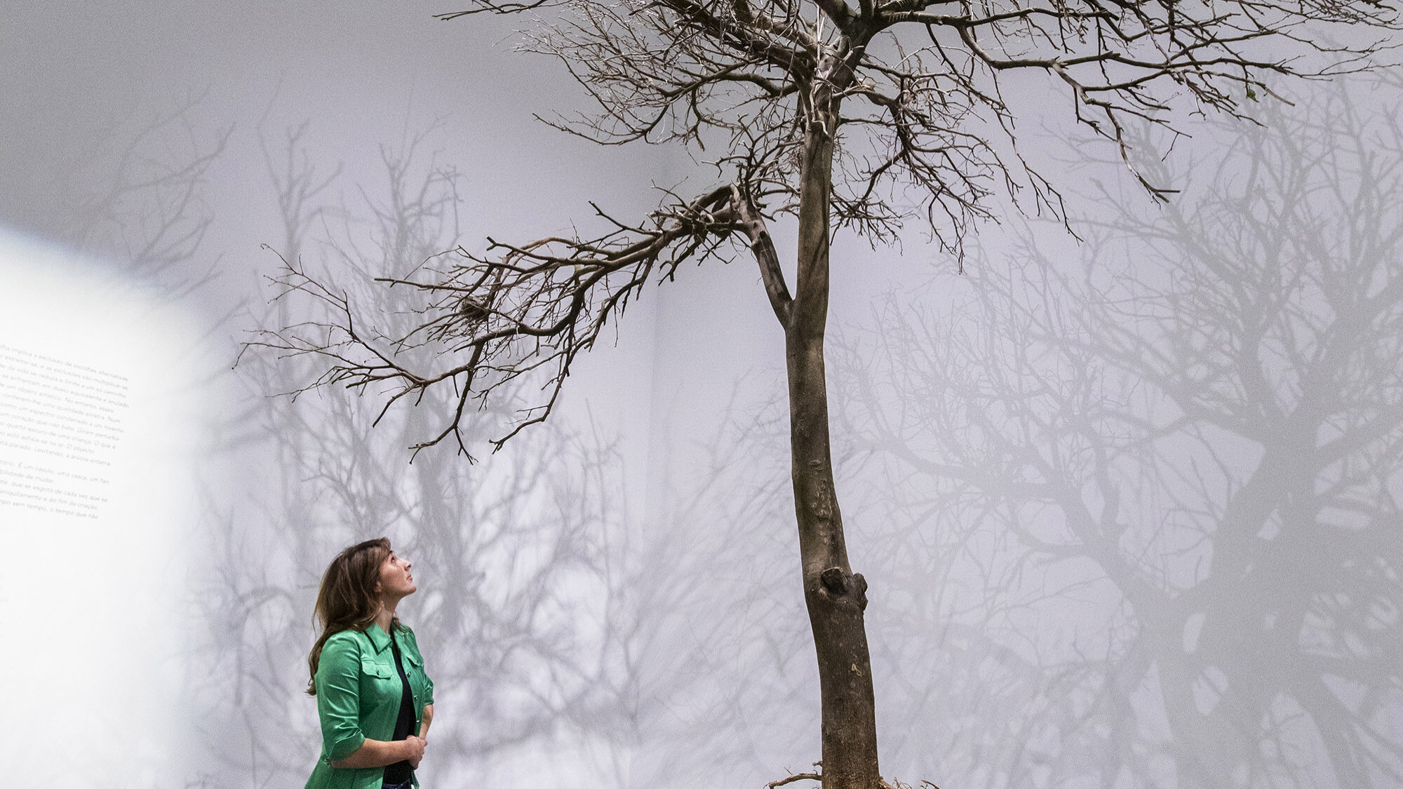 Exposição Changing Tomorrow Now EDP: "O Tempo sem Tempo" de Carolina Piteira