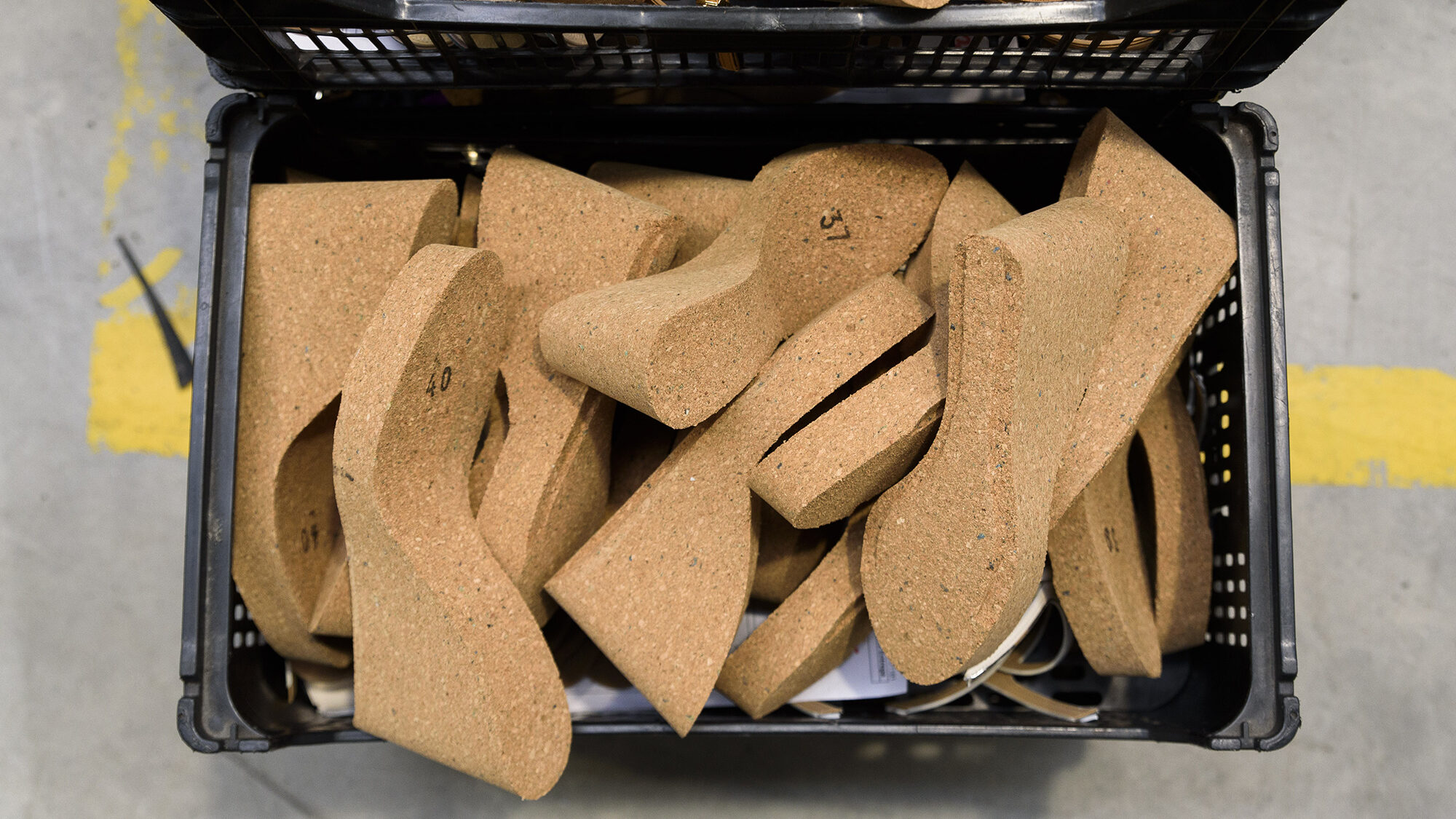 Luís Onofre, presidente da APICCAPS, em entrevista ao ECO - 11MAR22