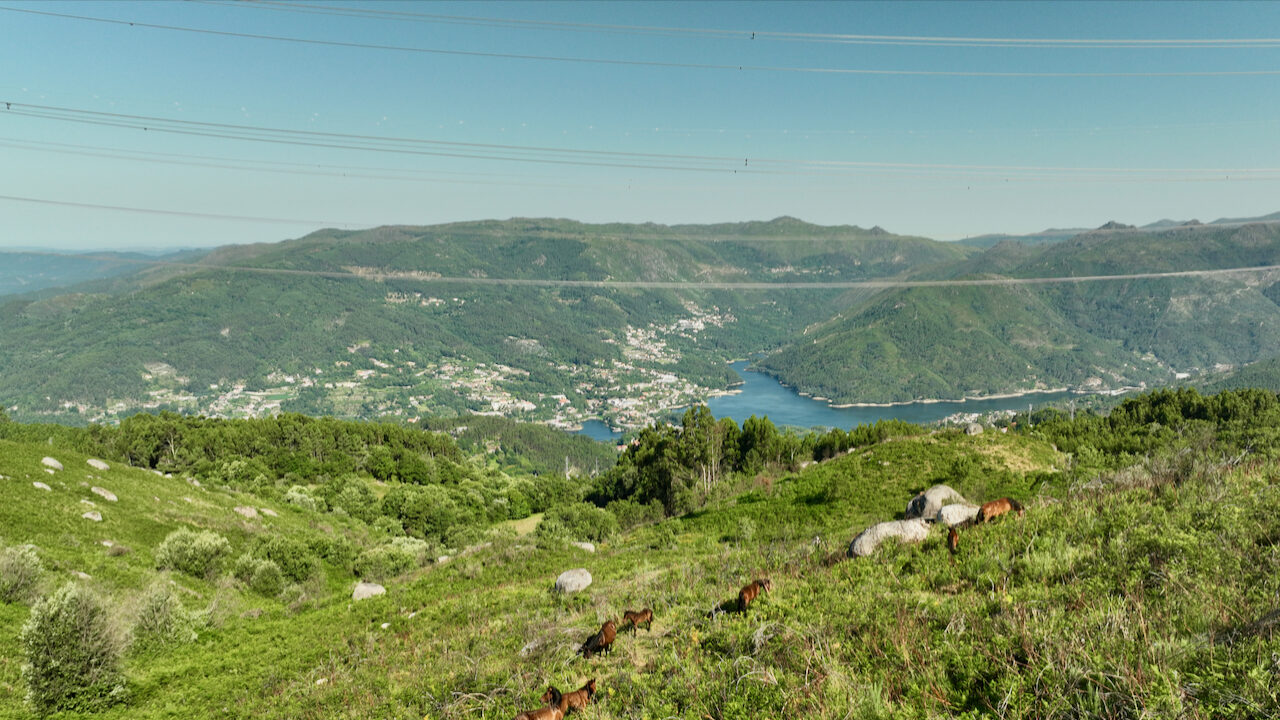 Government rejects revision of the Municipal Master Plan for Vieira do Minho