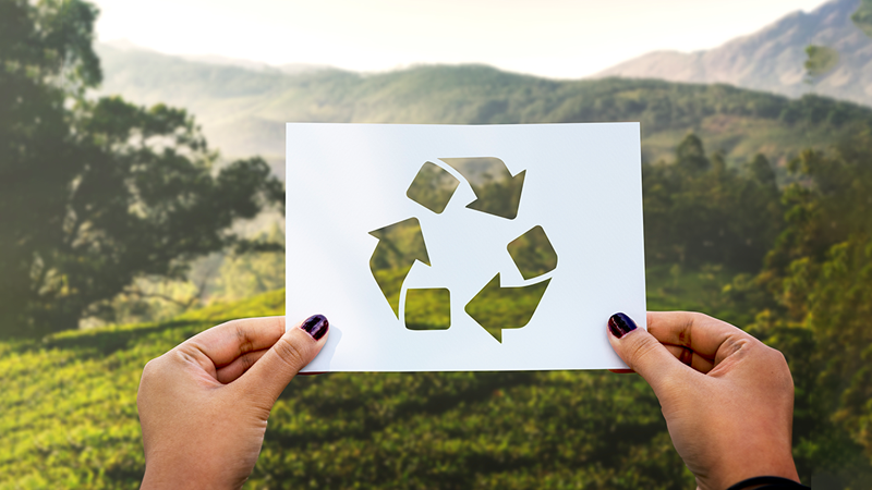 Como ser mais sustentável ambientalmente