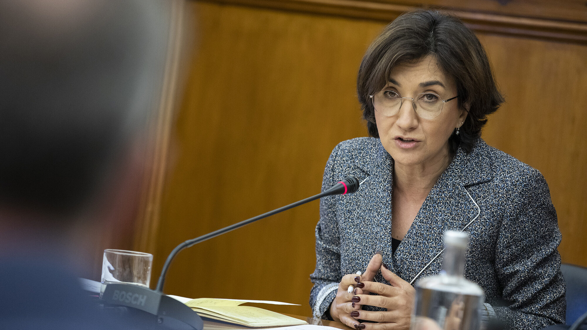 Audição da ministra da Agricultura e Alimentação, Maria do Céu Antunes, relativa à nomeação da ex-secretária de Estado da Agricultura, Carla Alves - 18JAN23