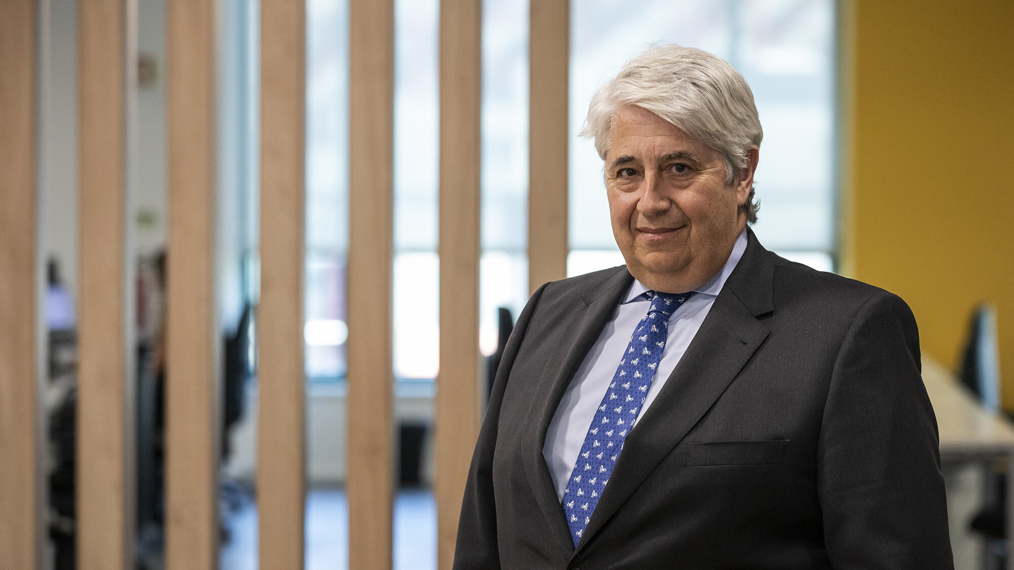 Professor da Nova SBE apela a que não haja “pressa” na eleição para ...
