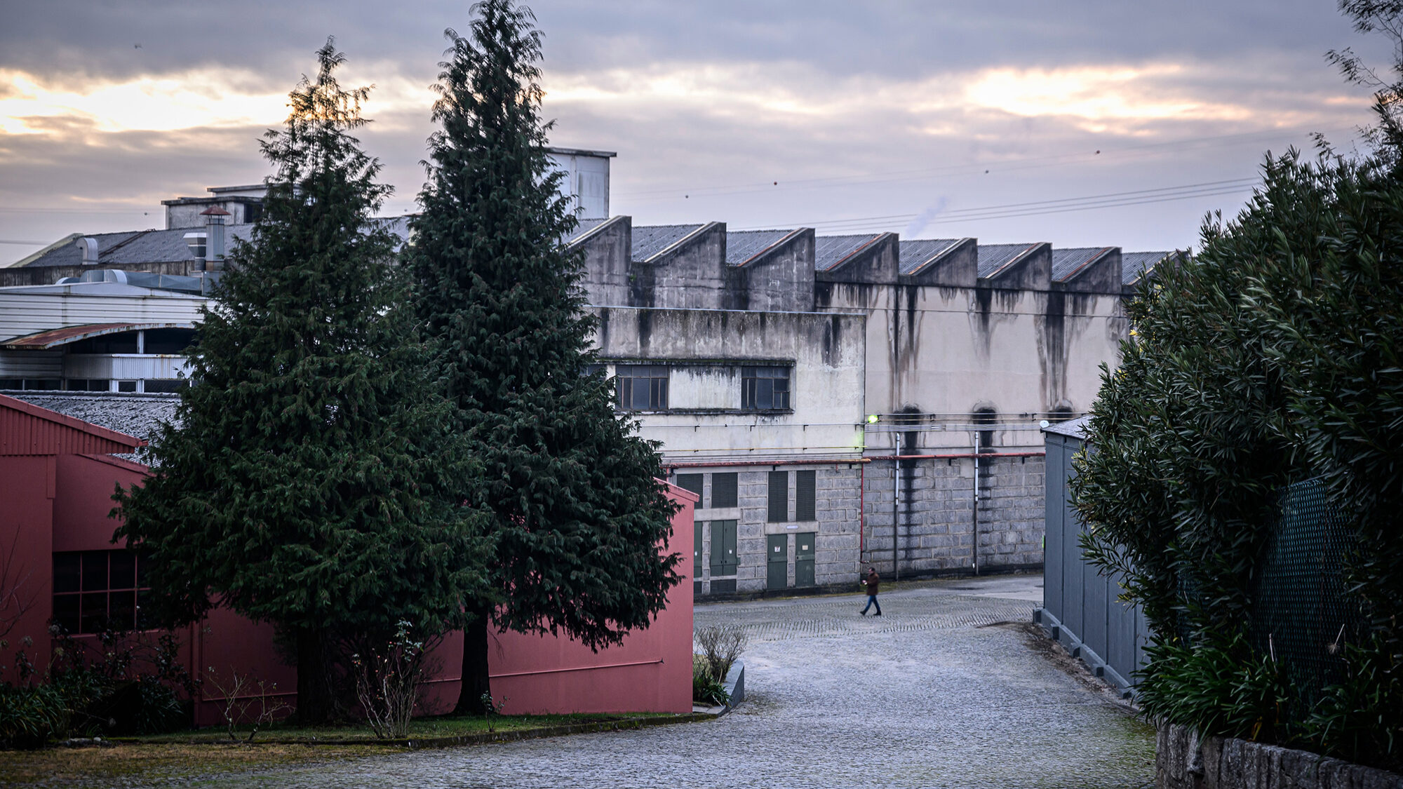 Reportagem na empresa têxtil Coelima, by Mabera - 19DEZ23