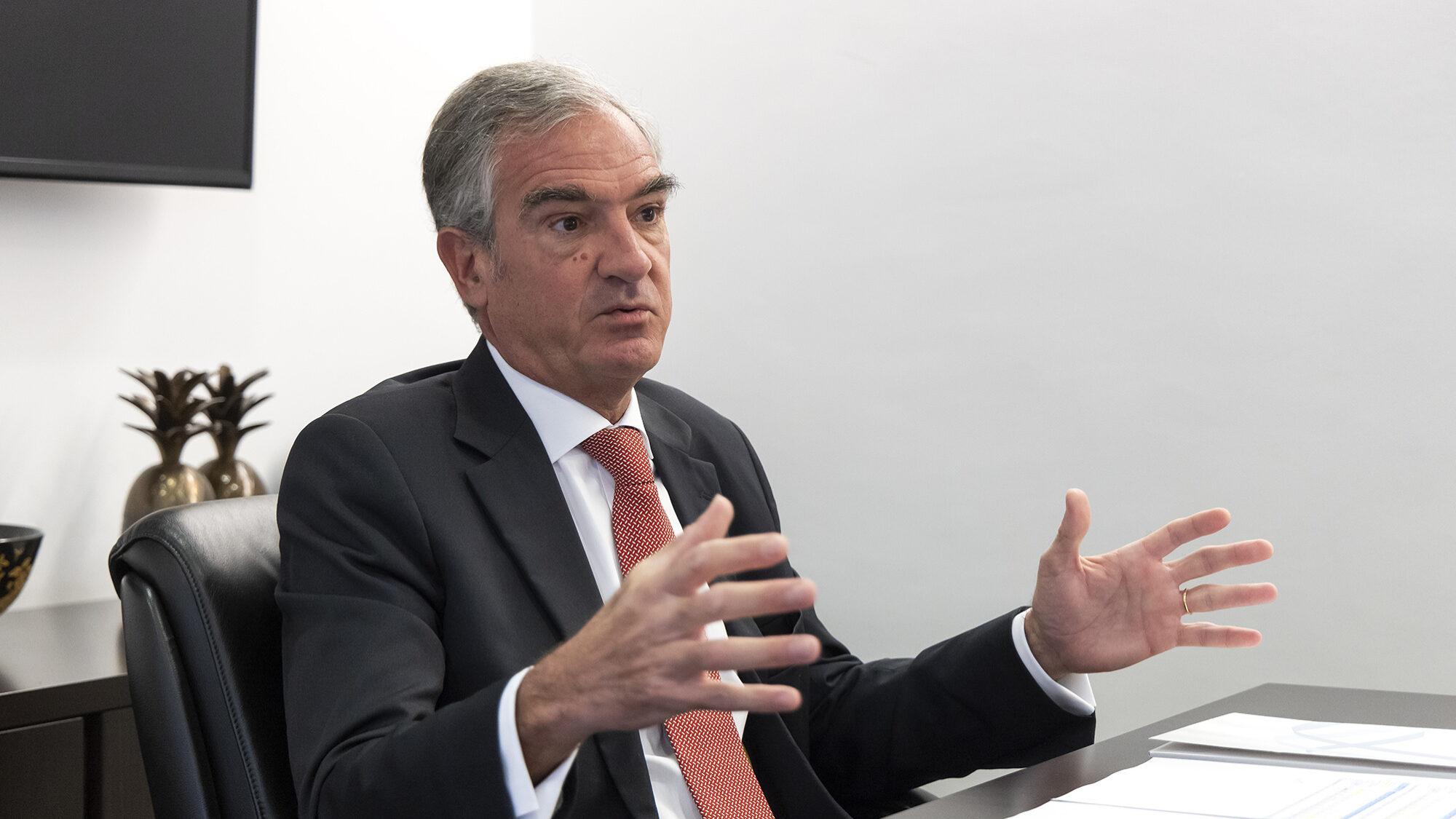 João Pratas, presidente da APFIPP, em entrevista ao ECO - 18DEZ23