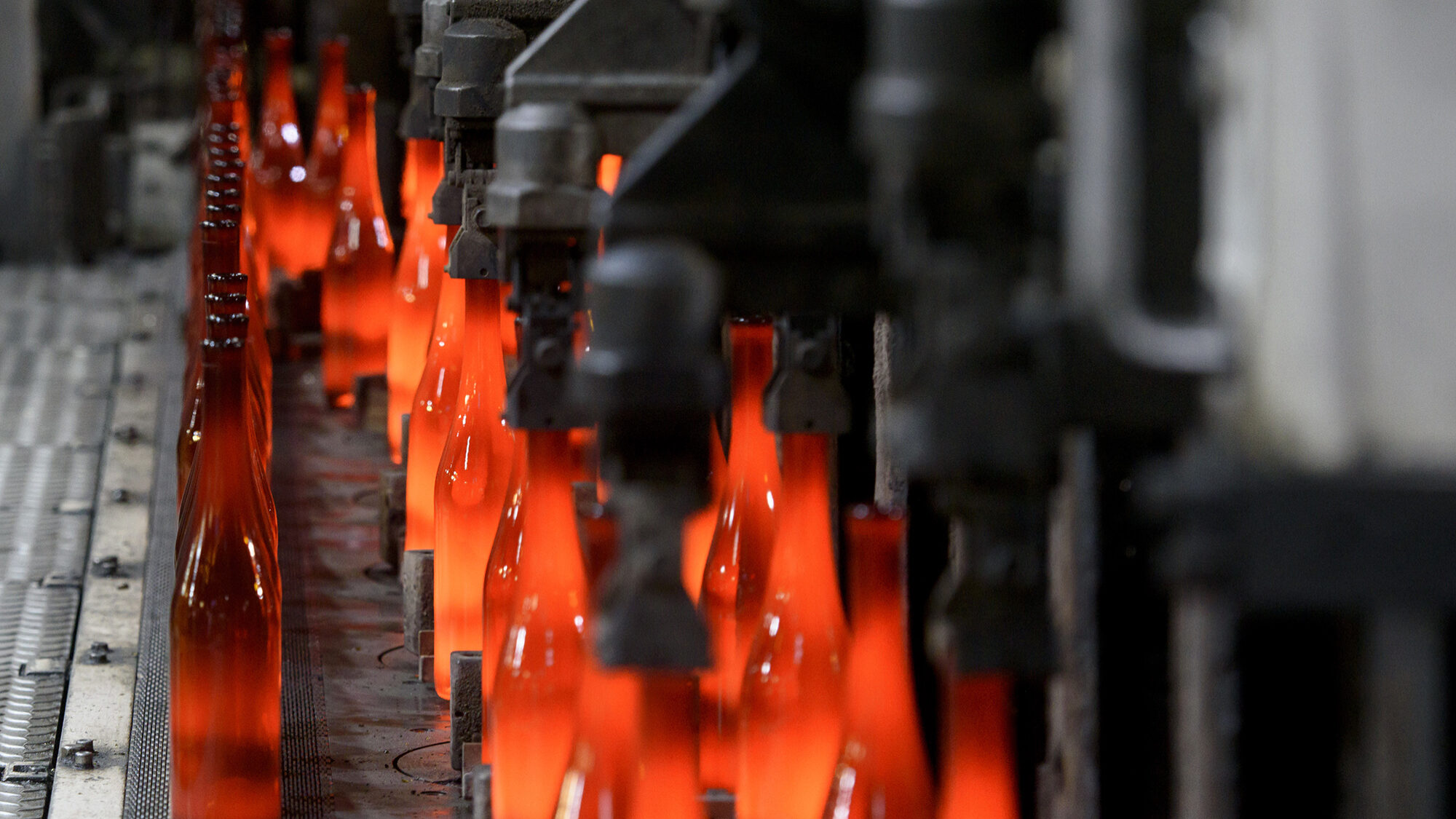 Reportagem na Fábrica da BA Glass em Avintes - 17JAN24