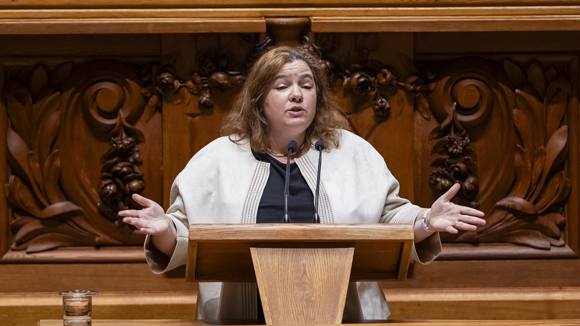 Apresentação e debate do programa do XXIV Governo Constitucional na Assembleia da República - 11ABR24