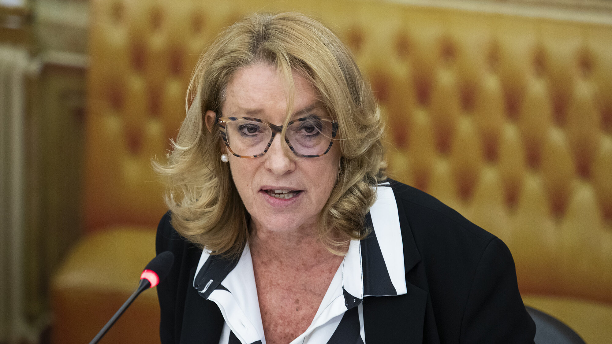 Audição da ministra do Trabalho, Solidariedade e Segurança Social, Maria do Rosário Palma Ramalho, na Assembleia da República - 16MAI24