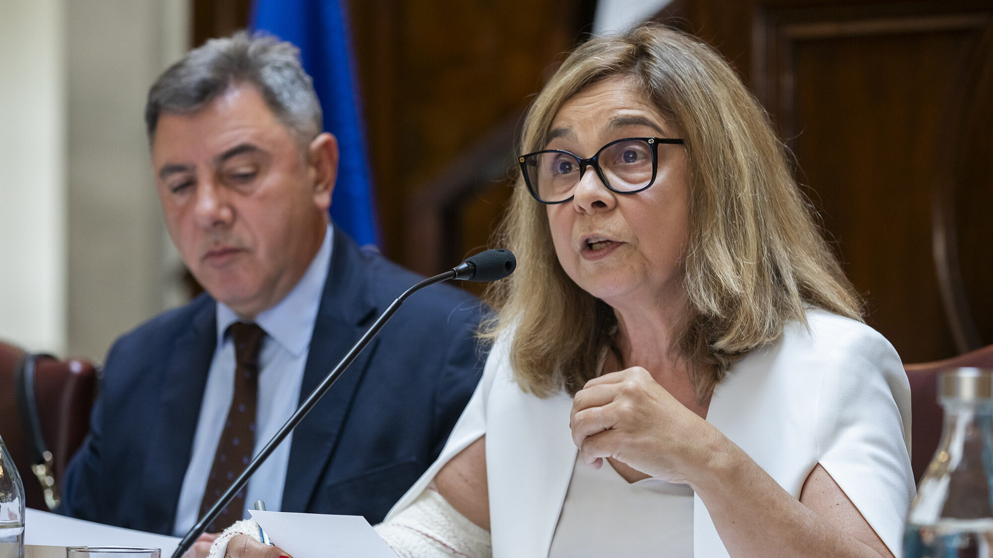 Audição da Ministra da Saúde, Ana Paula Martins, sobre o Plano de Emergência para o SNS - 12JUN24