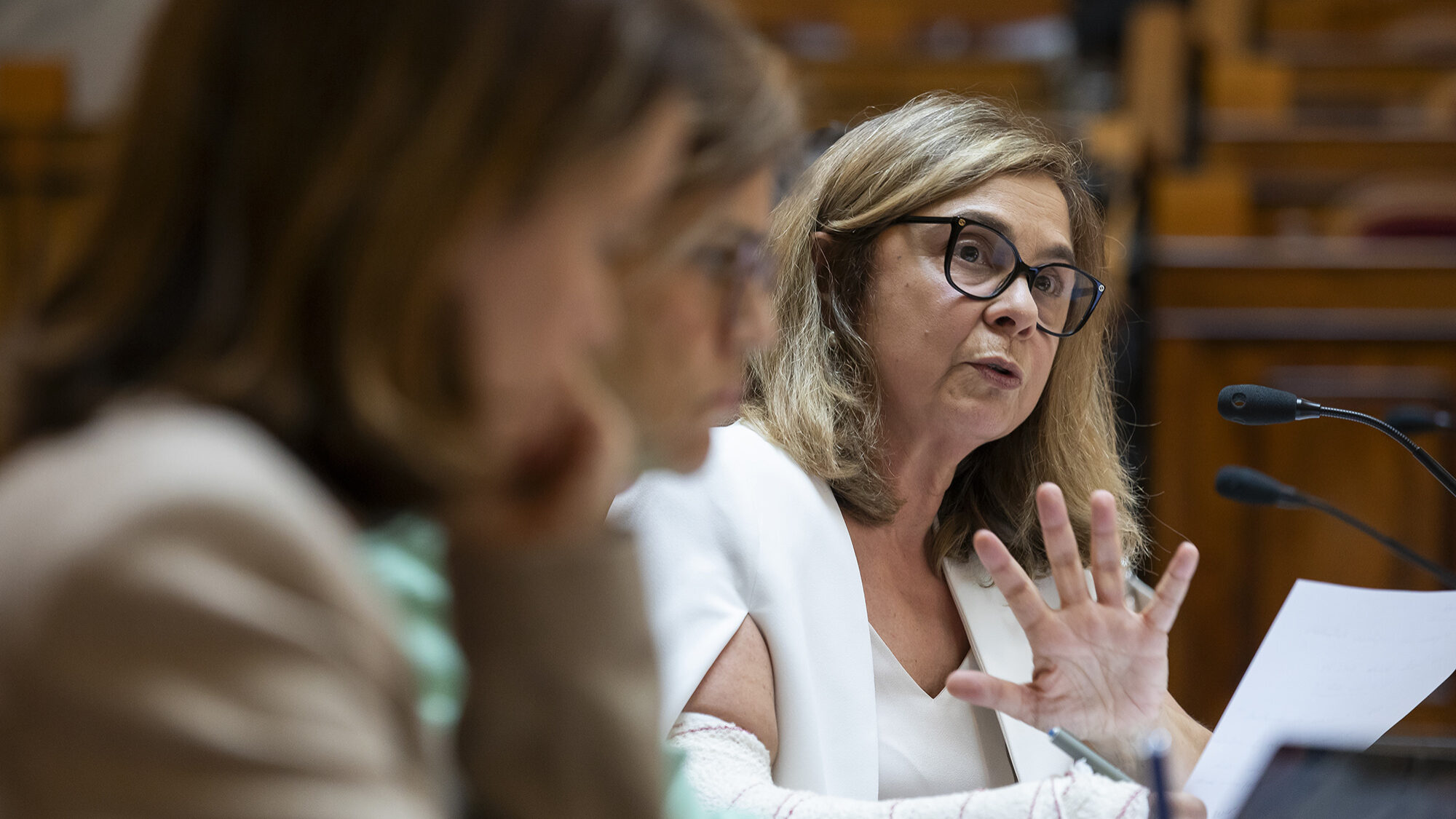 Audição da Ministra da Saúde, Ana Paula Martins, sobre o Plano de Emergência para o SNS - 12JUN24