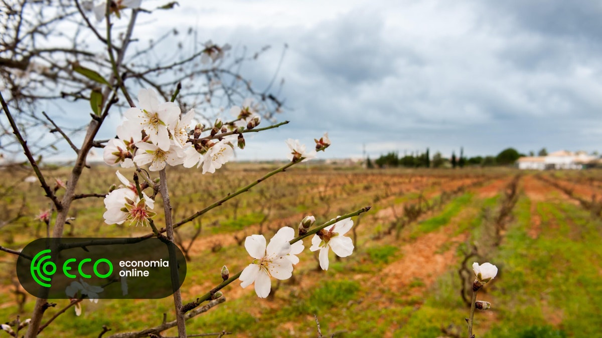 New Land Law in Portugal Aims to Curb Housing Speculation with Controlled Prices