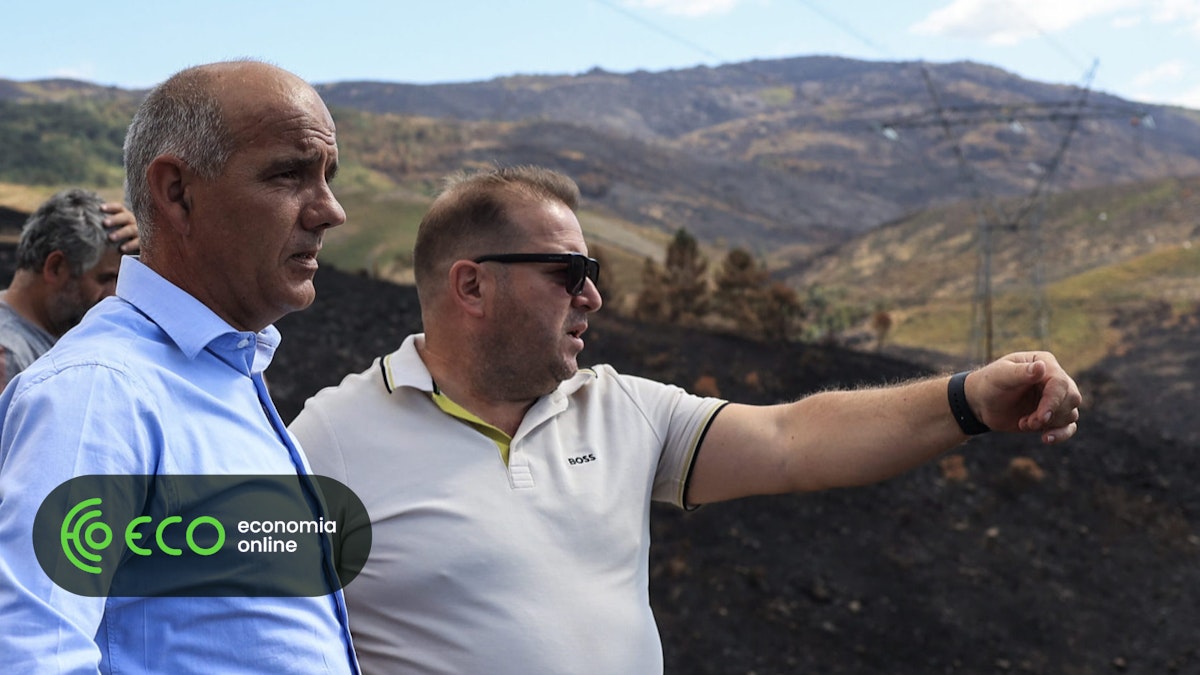 Governo desvalorizou incêndios e “acordou tarde”, diz Paulo Raimundo – ECO
