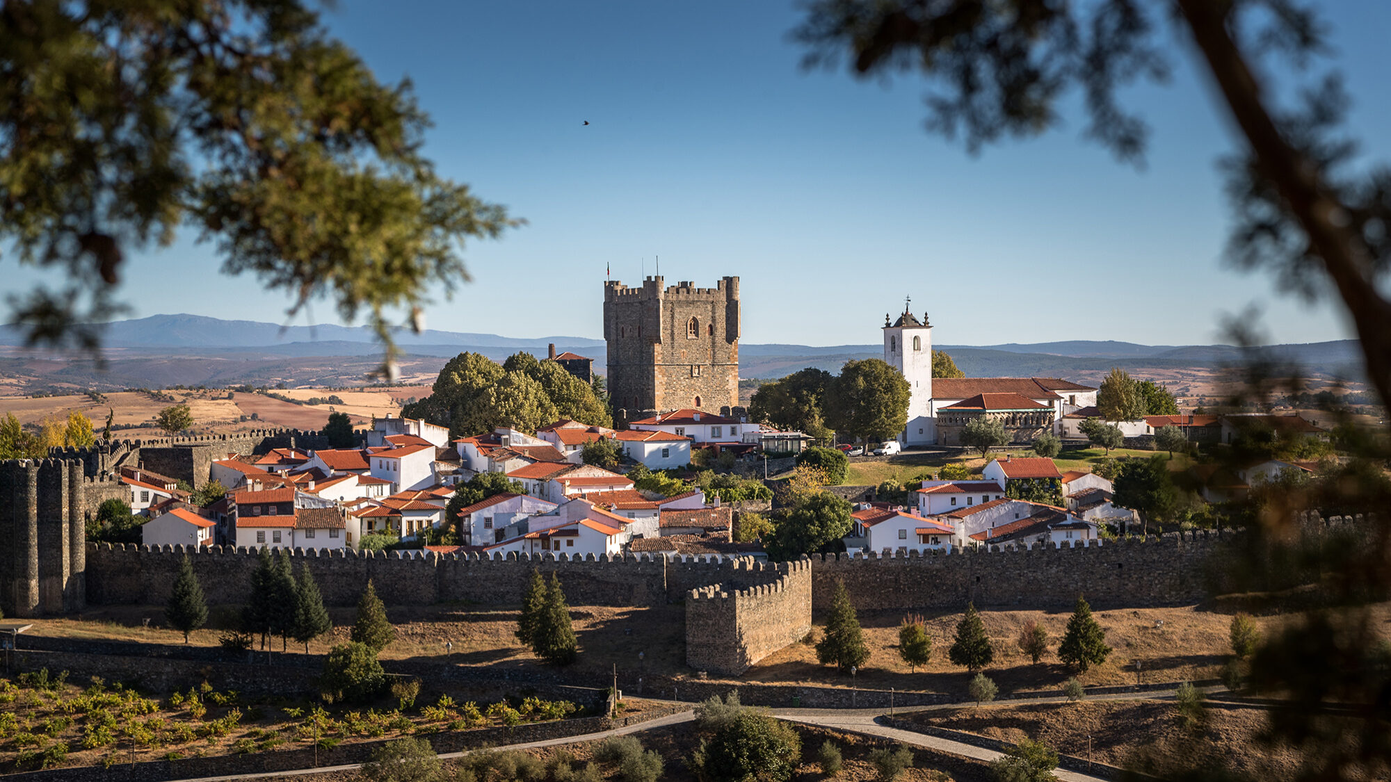 Insolvências disparam 71% em Bragança no arranque de 2026