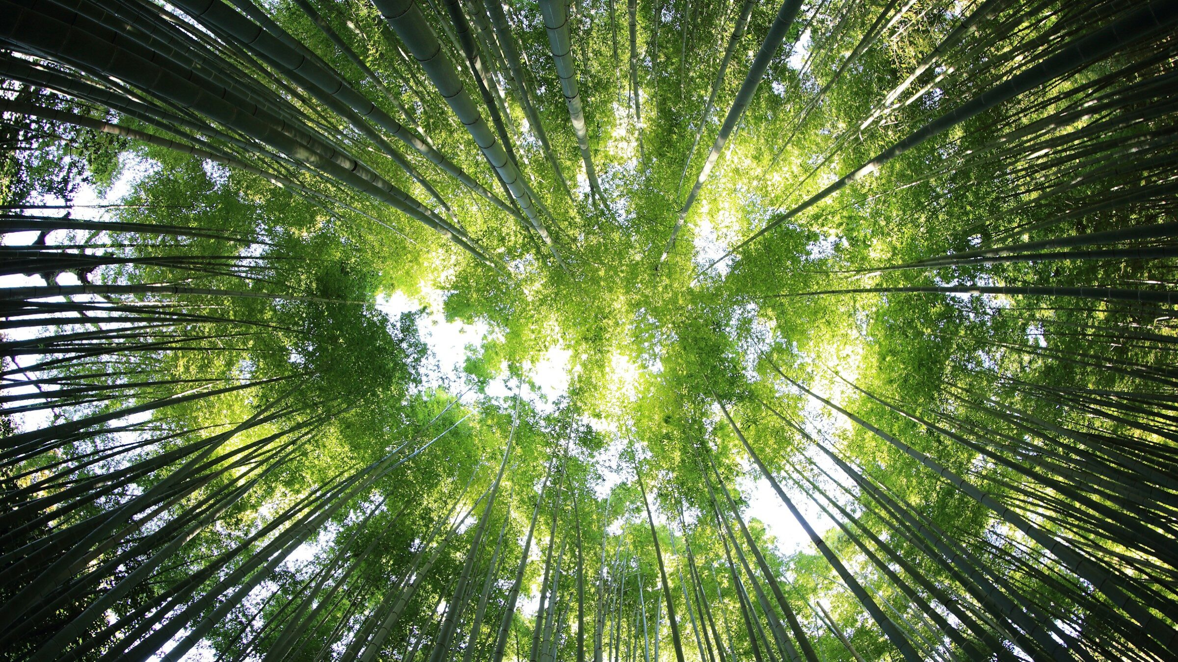 Especialistas critican propuesta que evita paridad de género en Consejo de Acción Climática