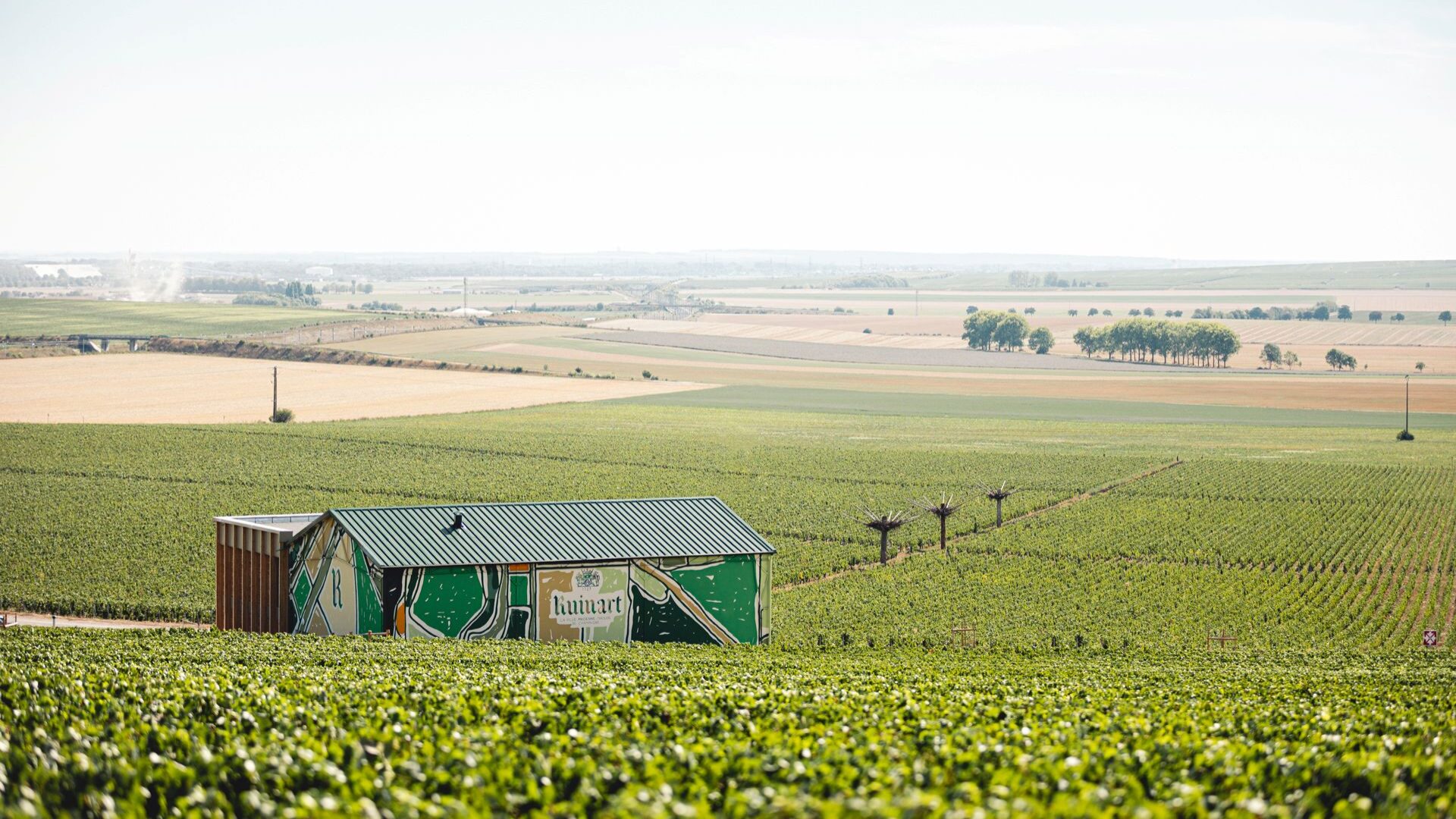 Ruinart: o primeiro dos champanhes à procura de novas fórmulas