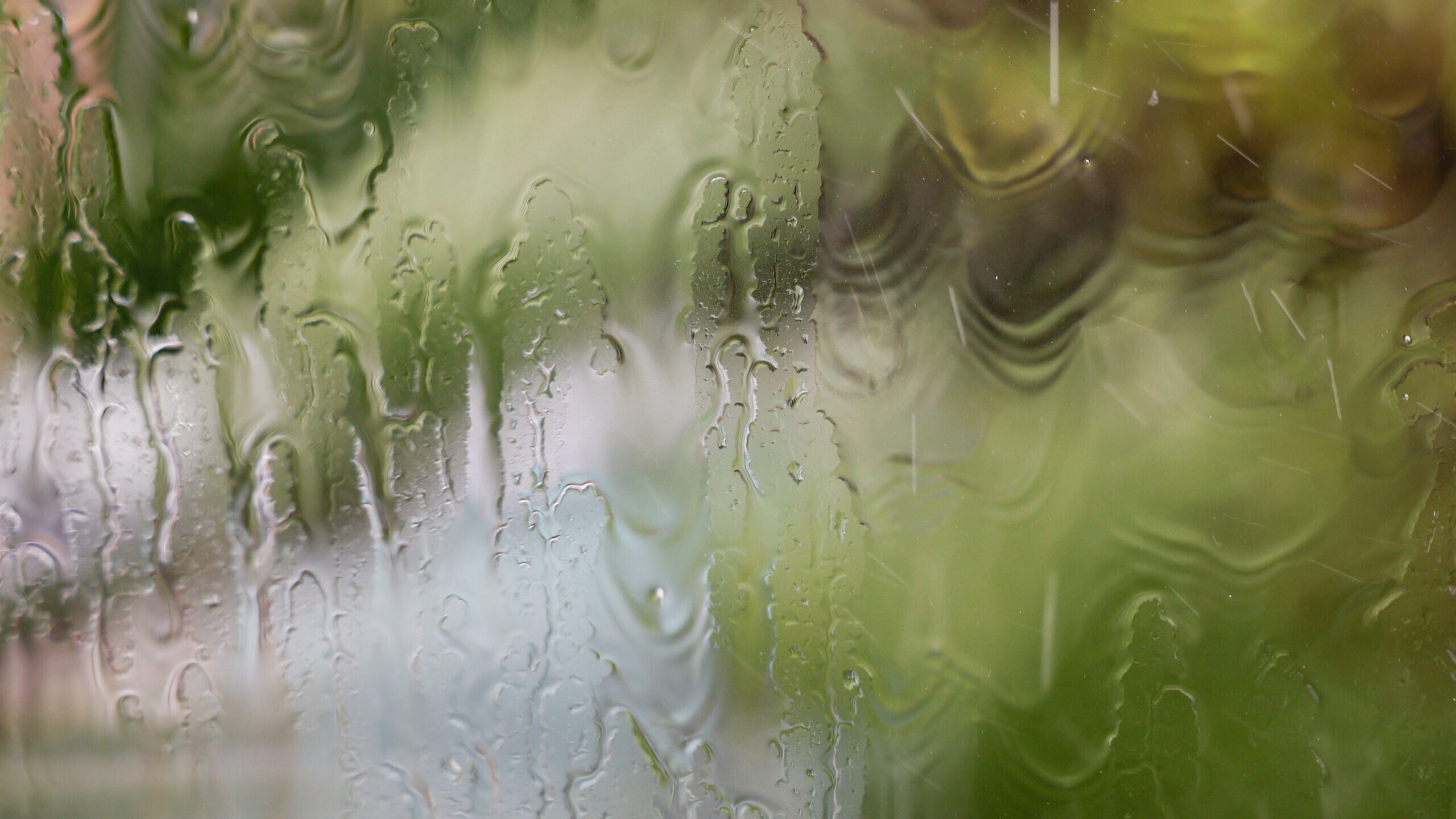 Yellow warnings across 11 districts for rain and wind