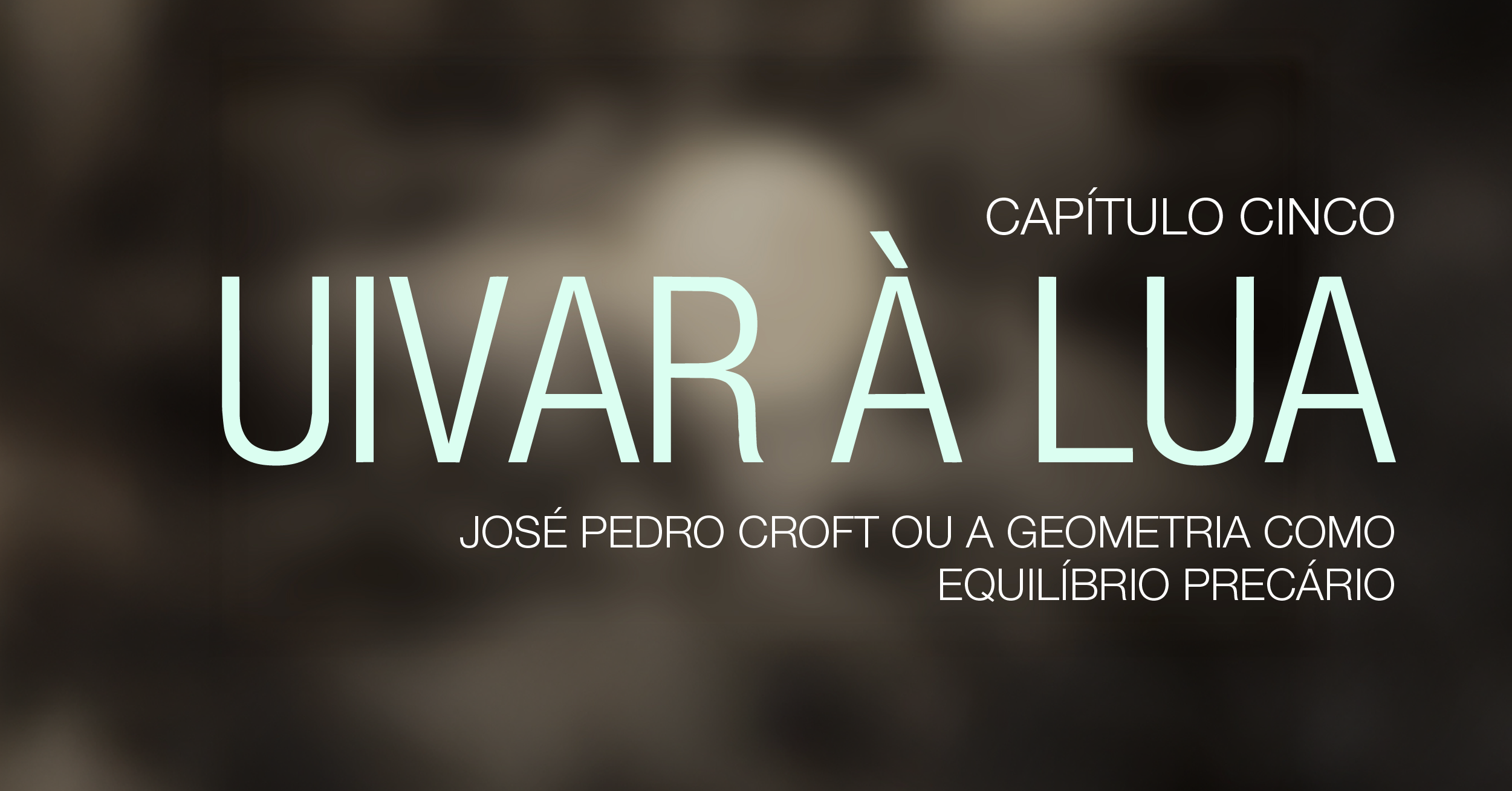 José Pedro Croft or geometry as a precarious balance