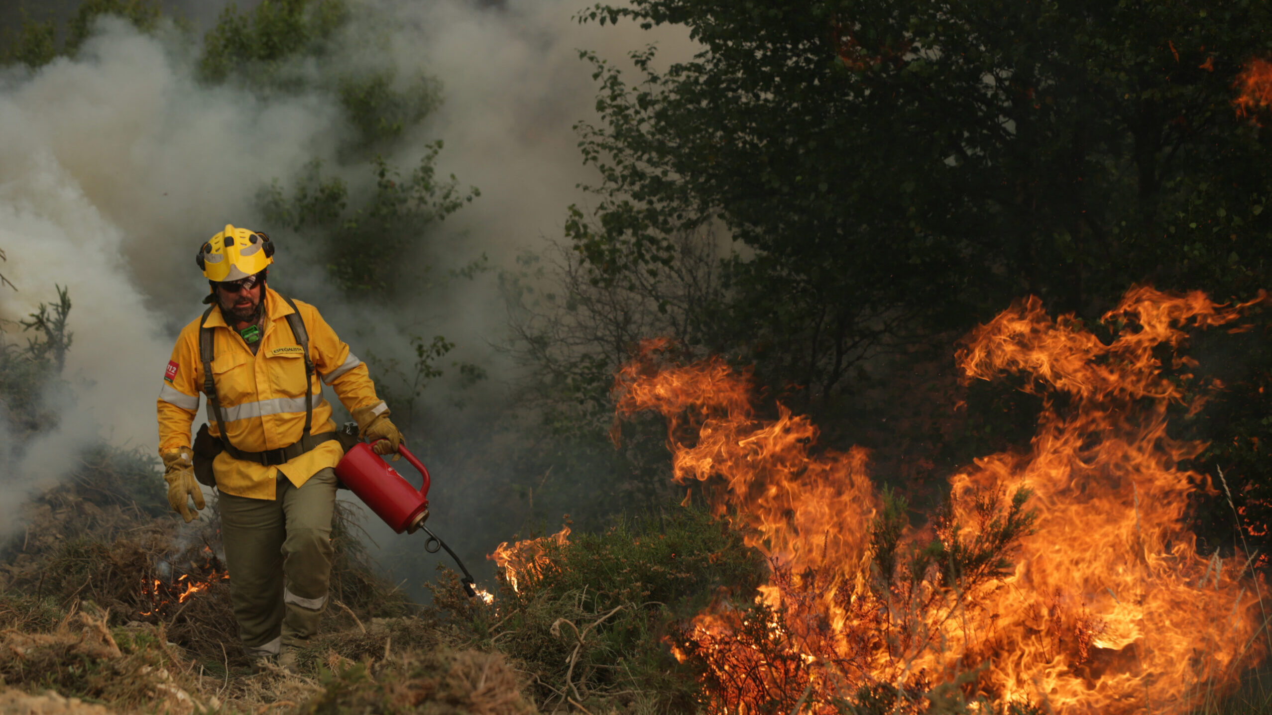 Government to pay landowners for controlled forest burning