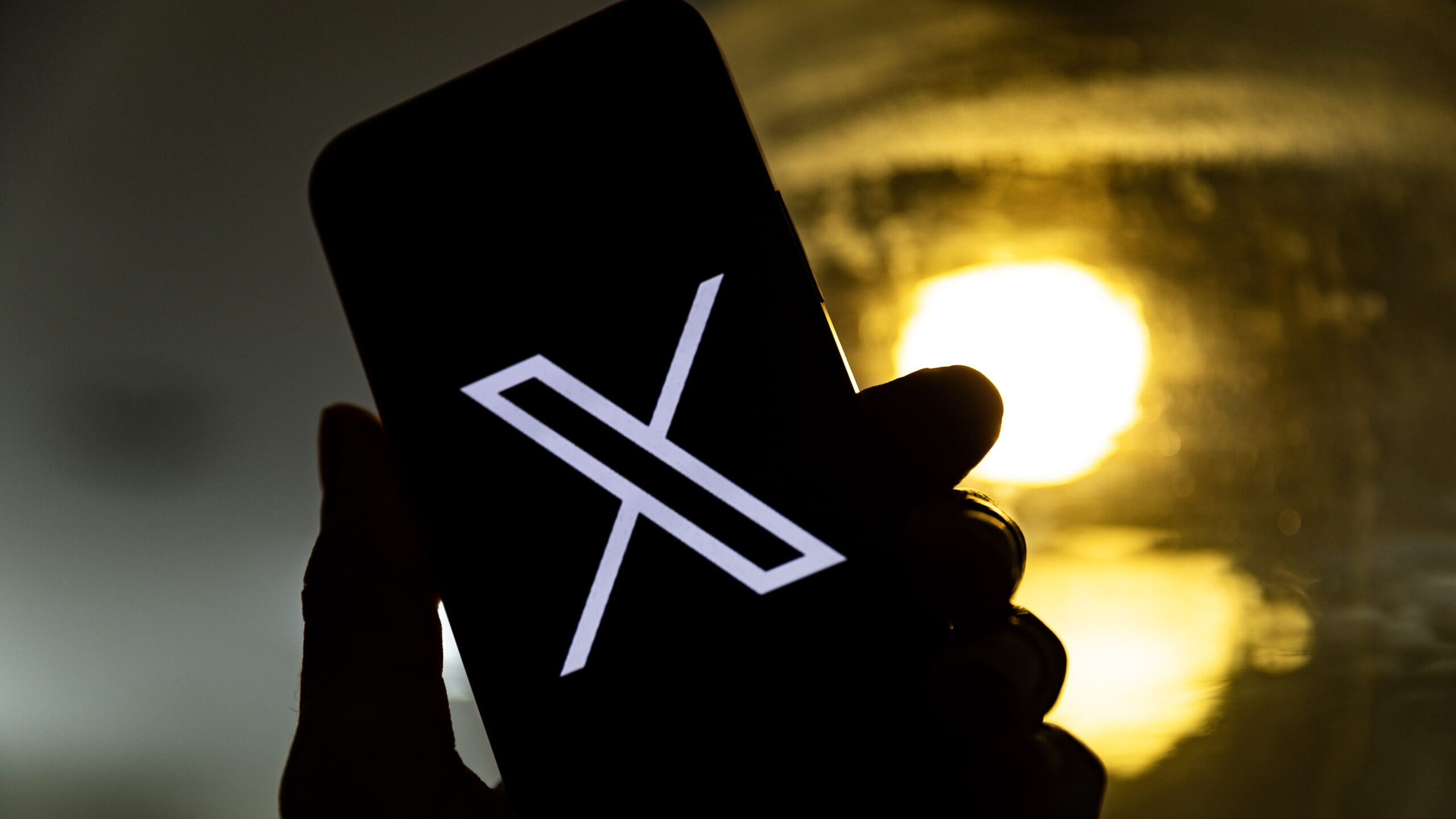 Social network X is the main channel for disinformation against the EU and politicians are the biggest target