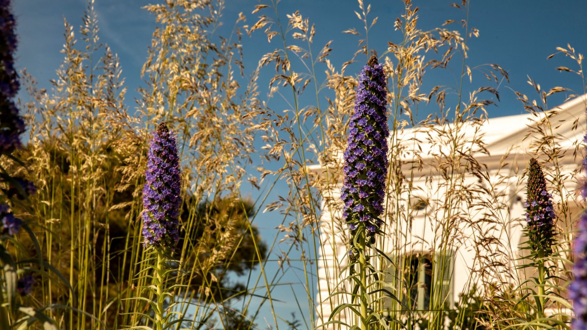 Shortlist: 8 suggestions to toast your father, travel, taste, and discover