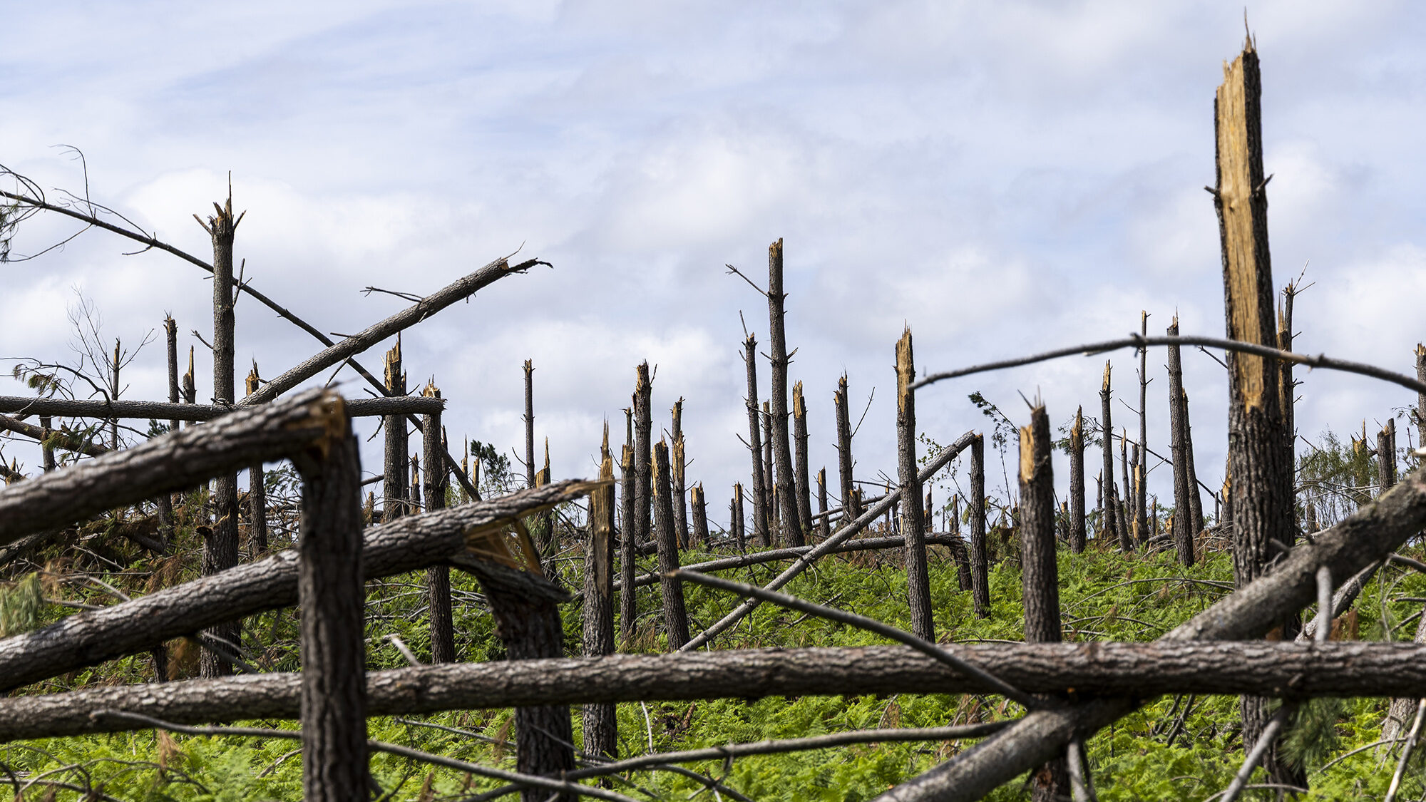 Bank of Portugal advises on ending storm loan moratorium