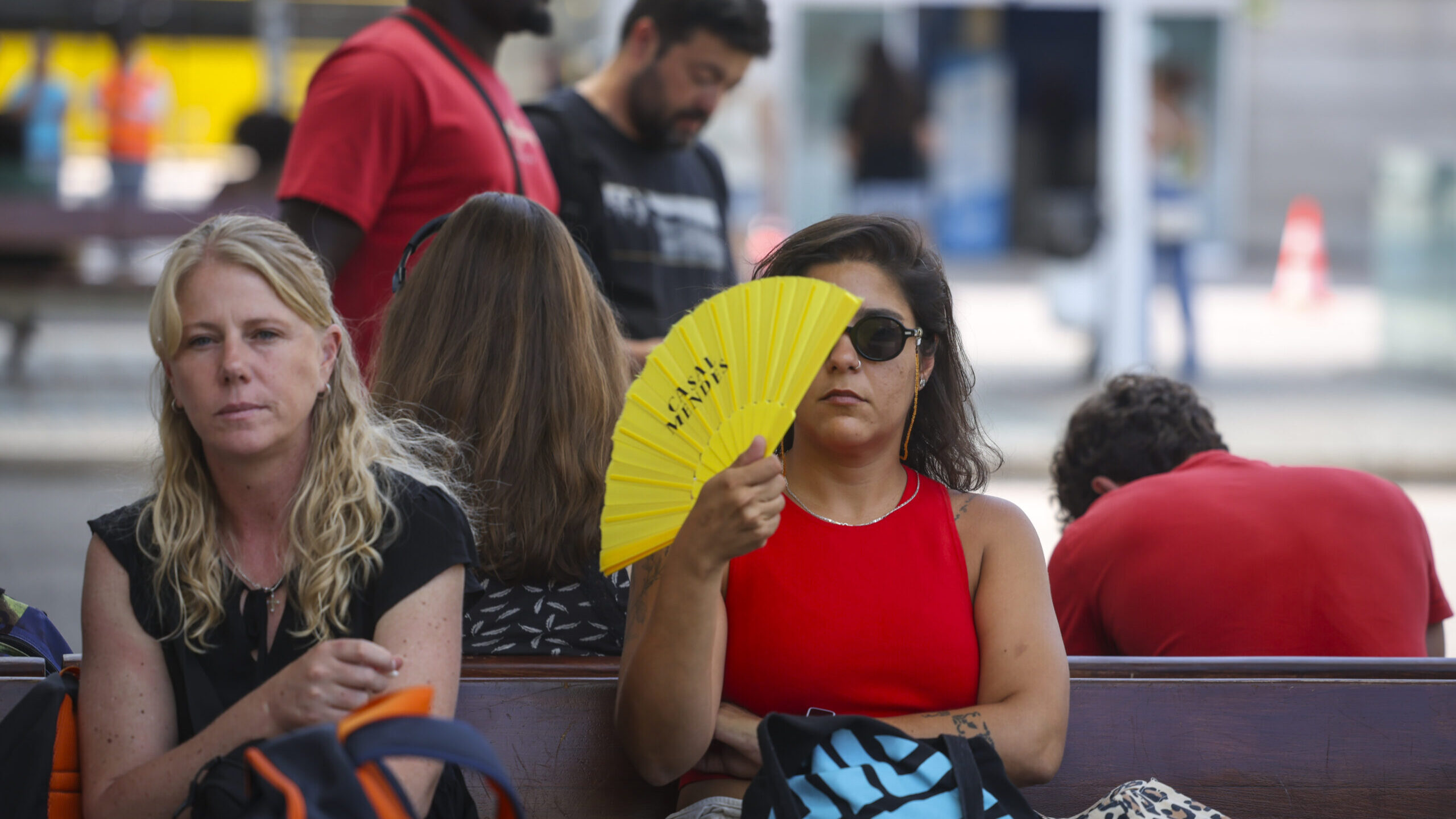 Health warning issued for high ozone levels