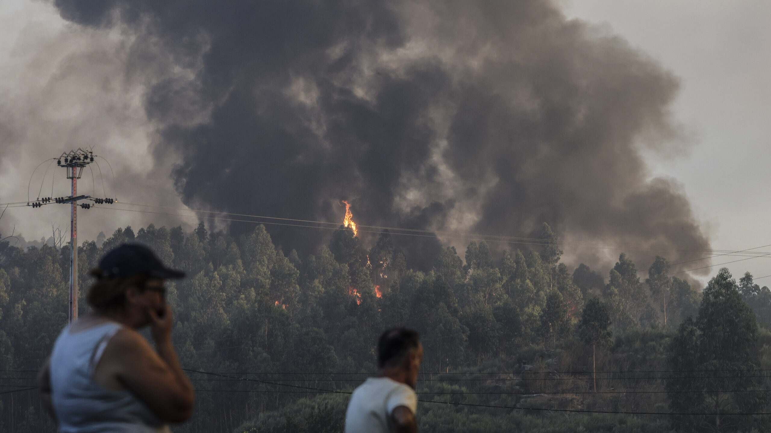 incêndio, fogo, fumo