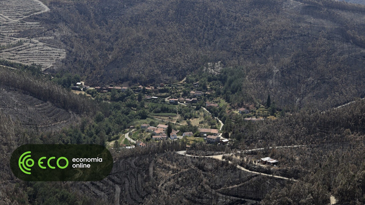 Cerca de 20 concelhos do interior Norte e Centro e Algarve em perigo máximo de incêndio