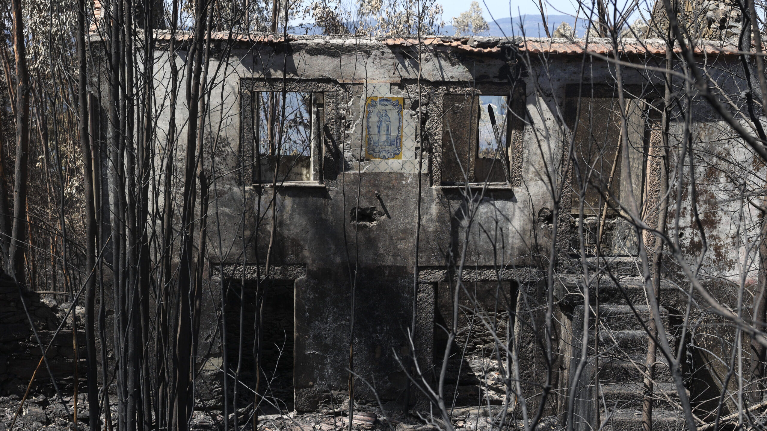 Quase todo o interior do país e Algarve em perigo máximo ou muito elevado de incêndio