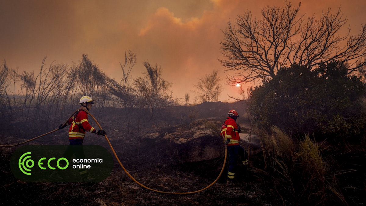 Ministro da Agricultura anuncia apoios para produtores afetados pelos incêndios
